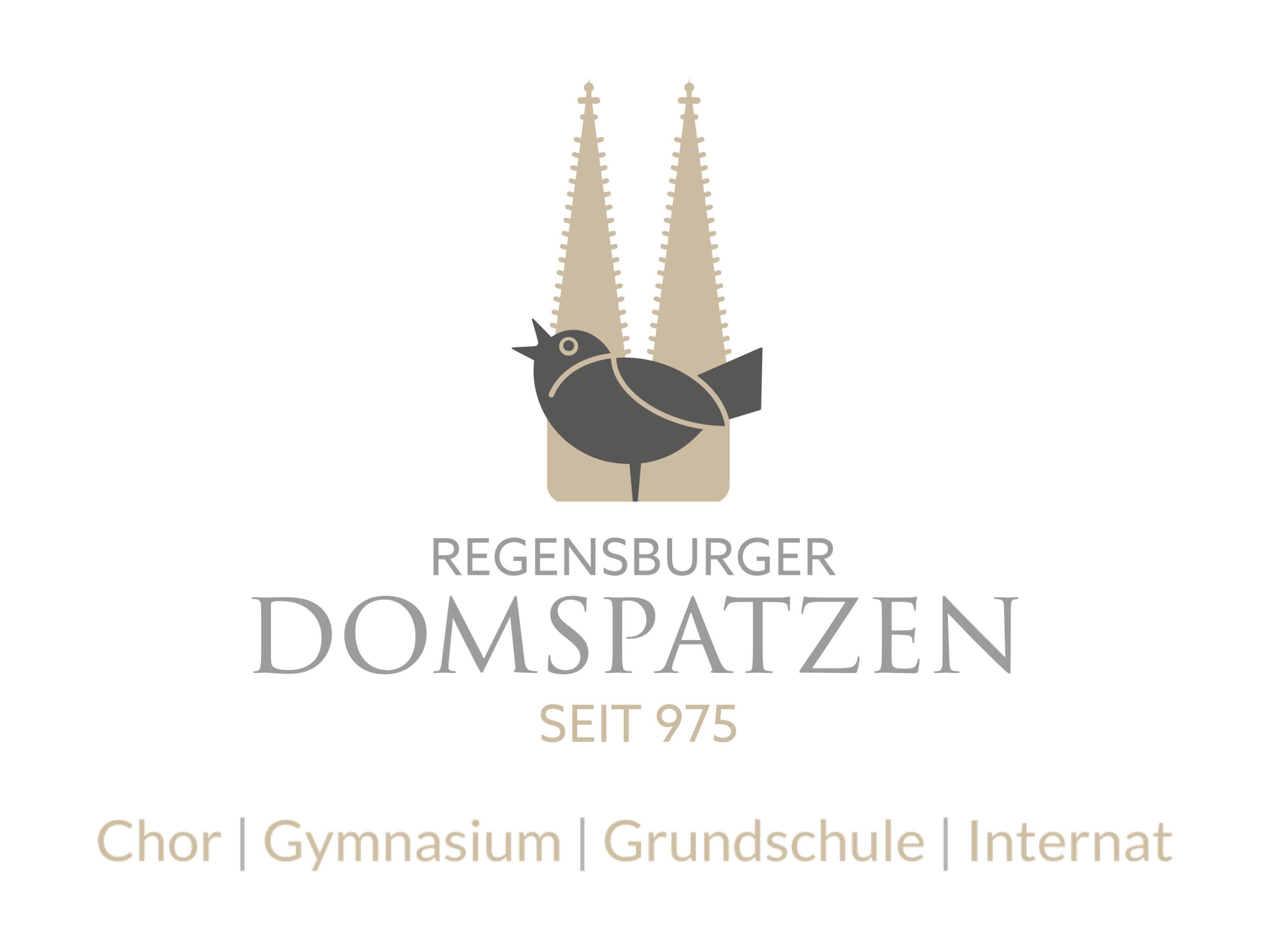Bildungstage-Logo-Domspatzen-UZ