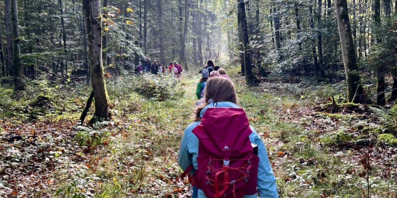 Theresie Gerhardinger Grundschule im Wald