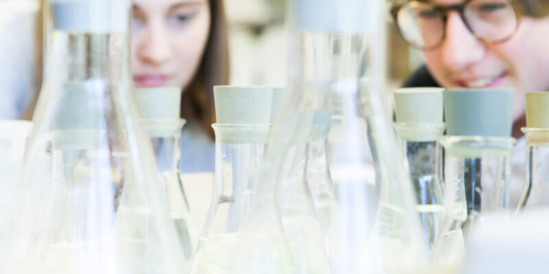 Bildungstage München | Birklehof Labor