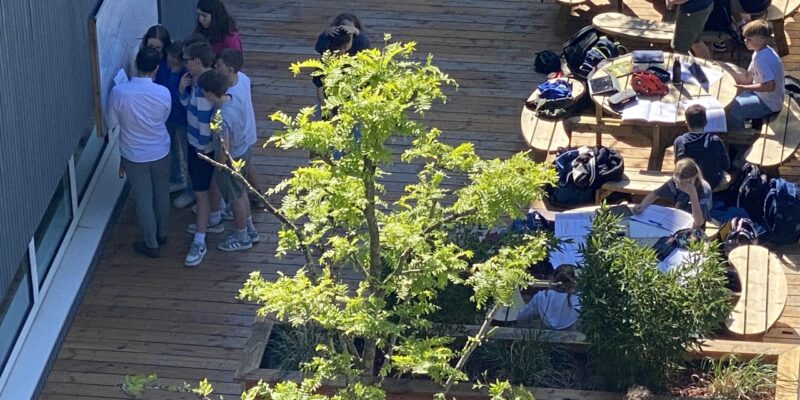 Bildungstage München | Nymphenburger Schulen Outdoor-Klassenzimmer