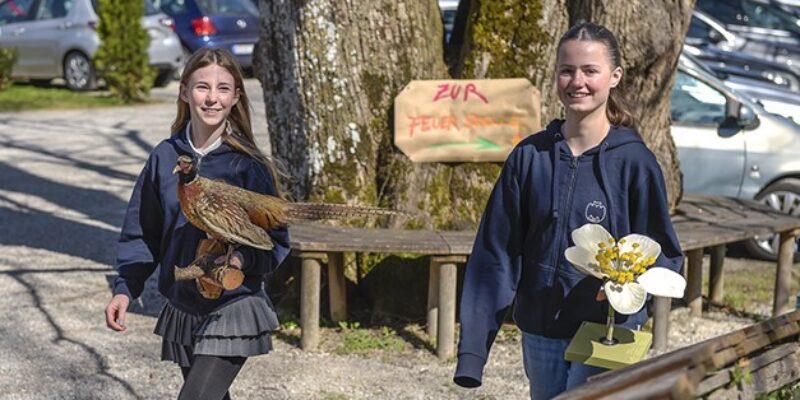 auf dem Weg zum Unterricht_II